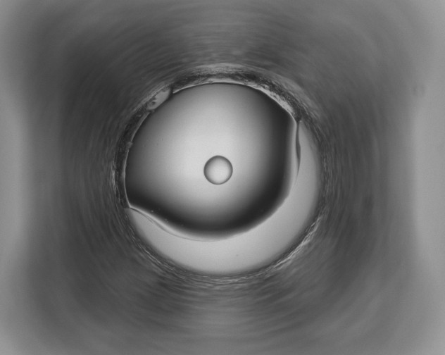 X0000113051209200909171534