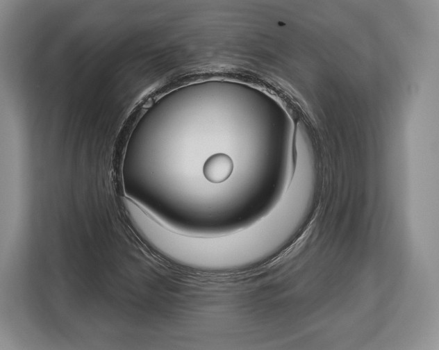 X0000113051210200909171534