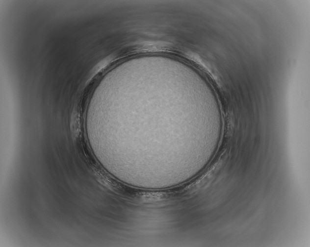 X0000113051211200909171534