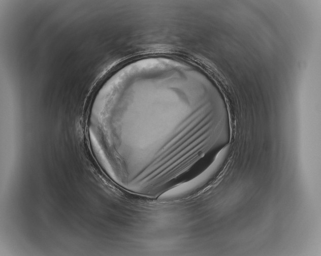 X0000113051212200909171534