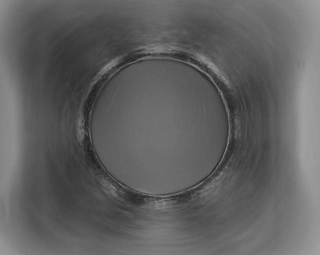 X0000113051213200909171534