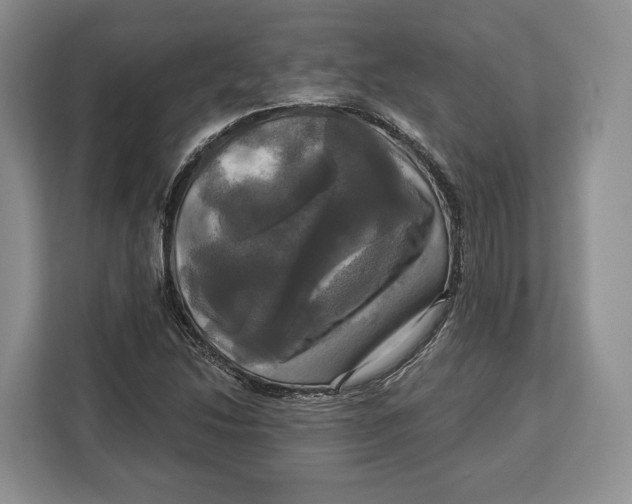 X0000113051214200909171534