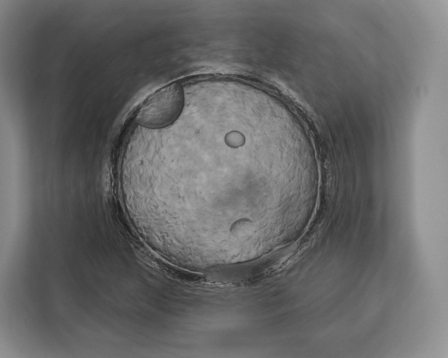 X0000113051215200909171534