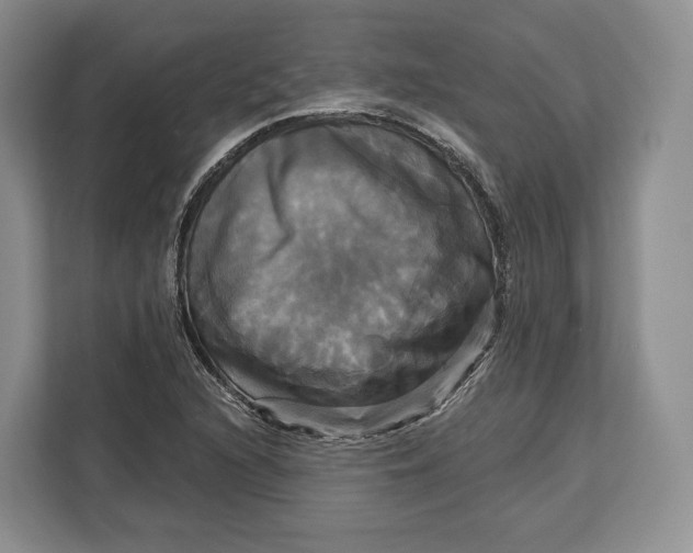 X0000113051216200909171534