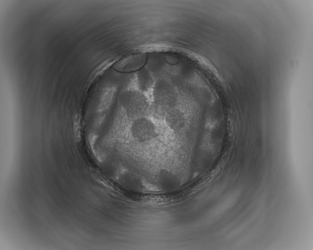 X0000113051217200909171534