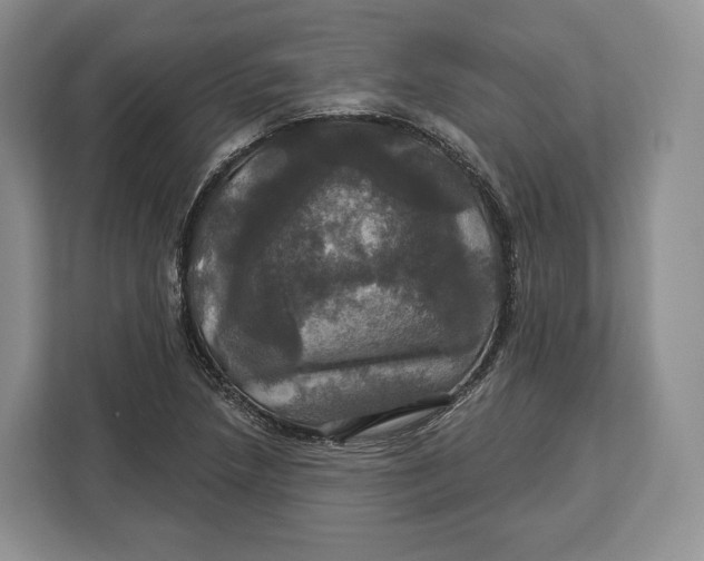 X0000113051218200909171534