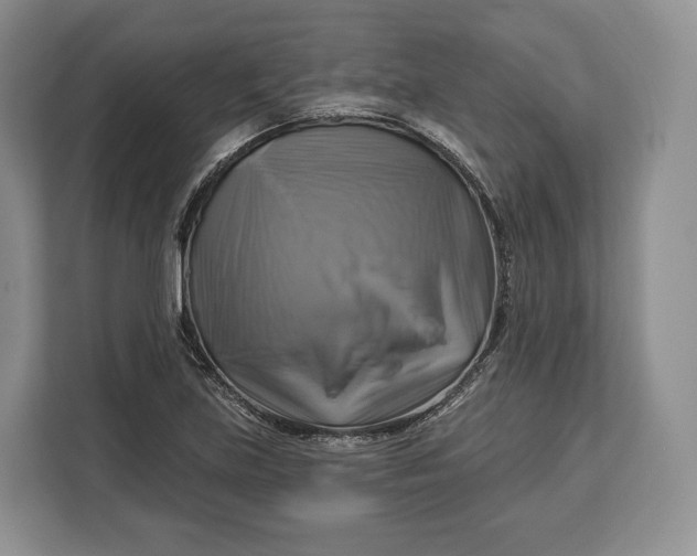 X0000113051219200909171534