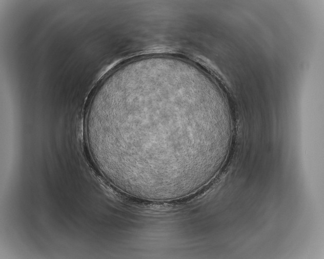 X0000113051220200909171534