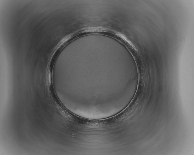 X0000113051221200909171534