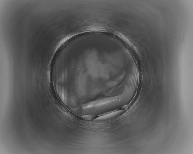 X0000113051222200909171534