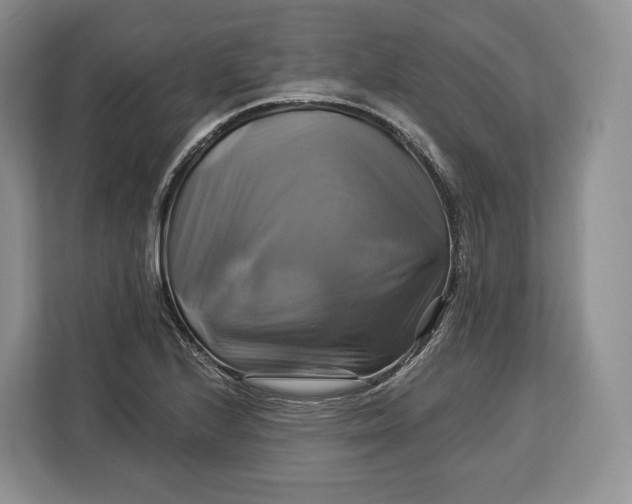 X0000113051224200909171534