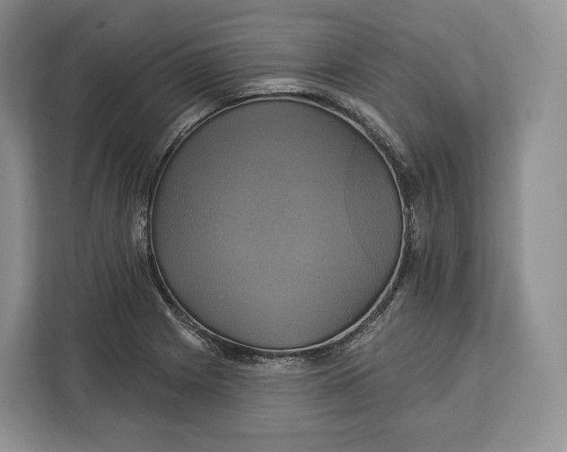 X0000113051225200909171534