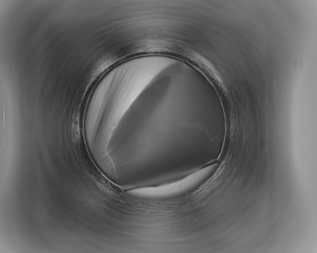 X0000113051226200909171534