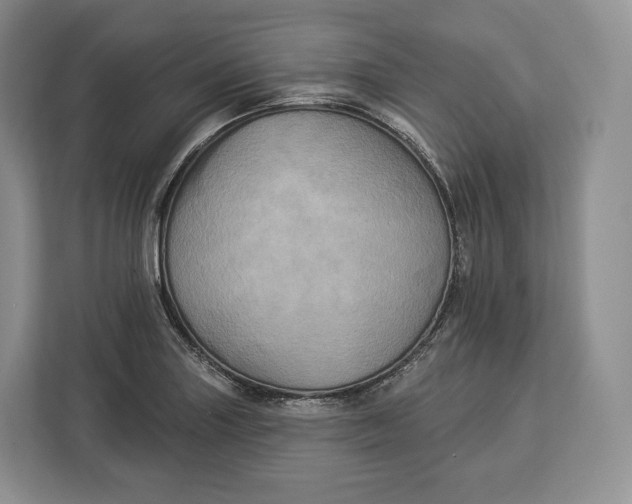 X0000113051227200909171534