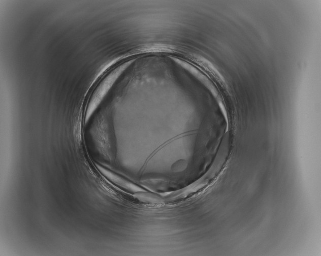 X0000113051228200909171534