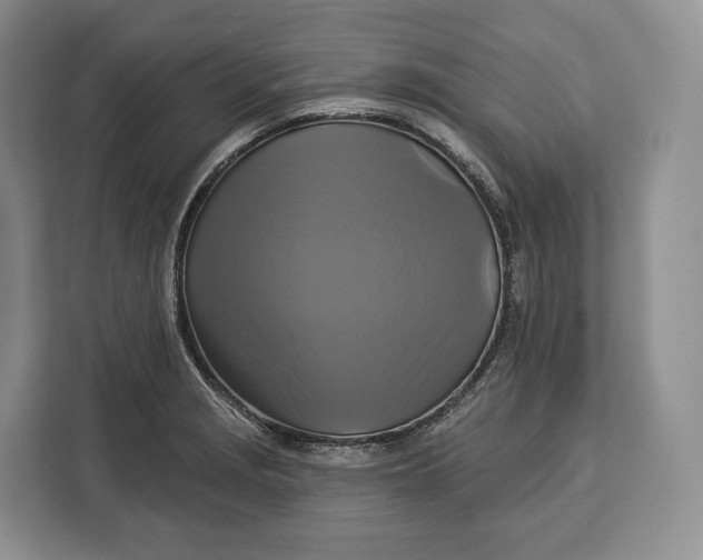 X0000113051229200909171534