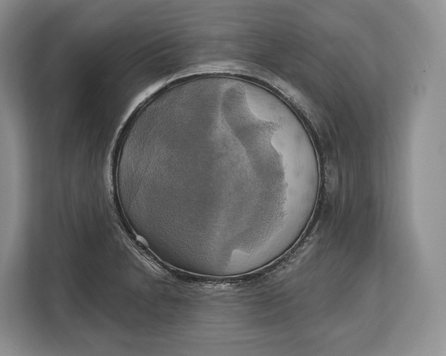 X0000113051230200909171534