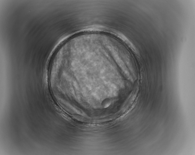 X0000113051232200909171534