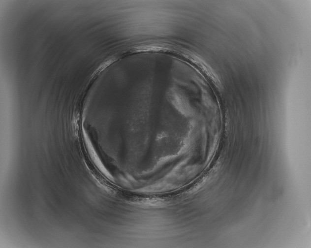 X0000113051233200909171534