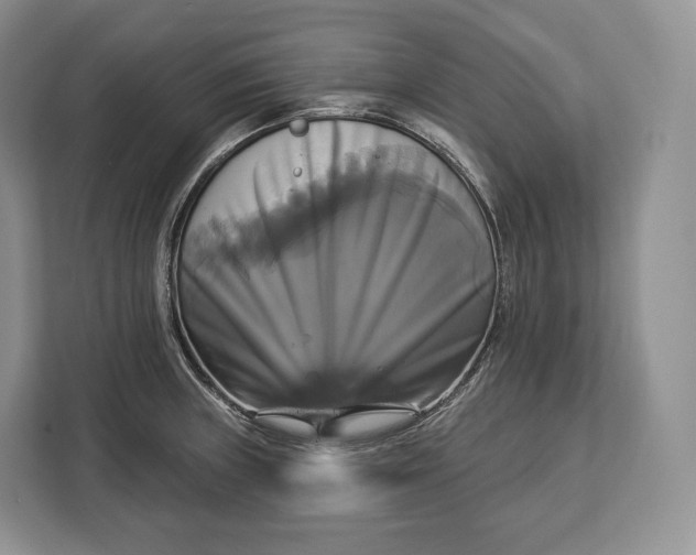 X0000113051235200909171534