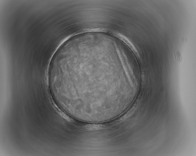 X0000113051236200909171534