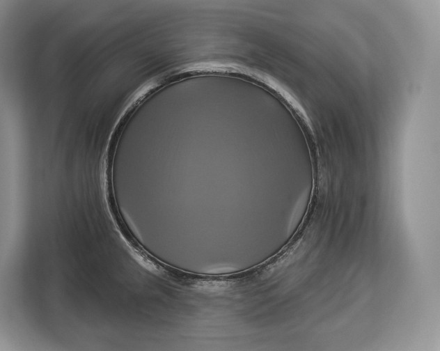 X0000113051237200909171534