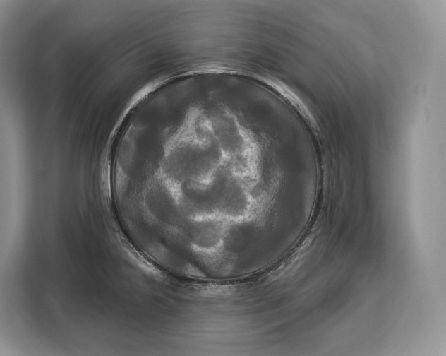 X0000113051238200909171534