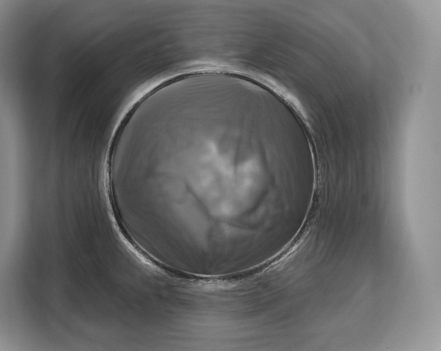 X0000113051239200909171535