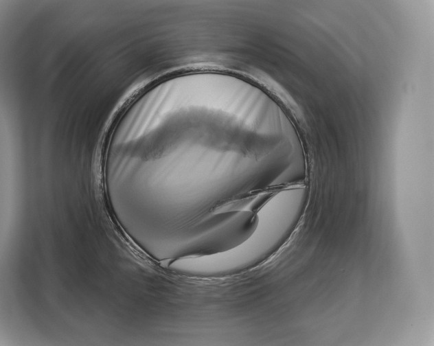 X0000113051240200909171535