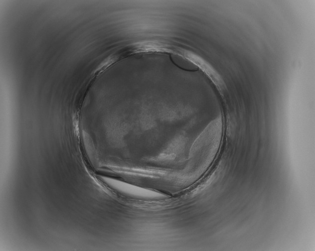 X0000113051241200909171535