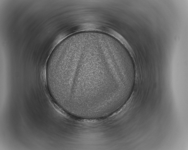 X0000113051242200909171535