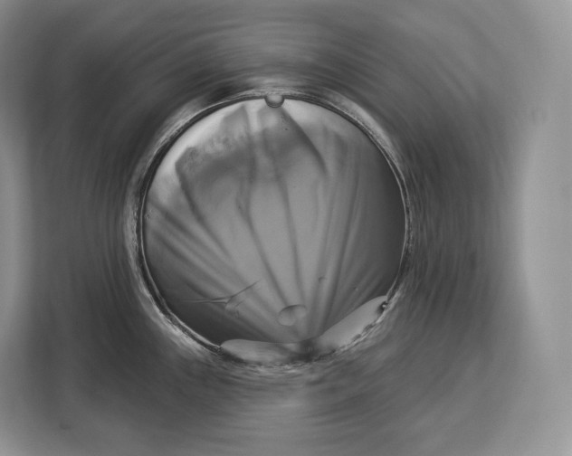 X0000113051243200909171535