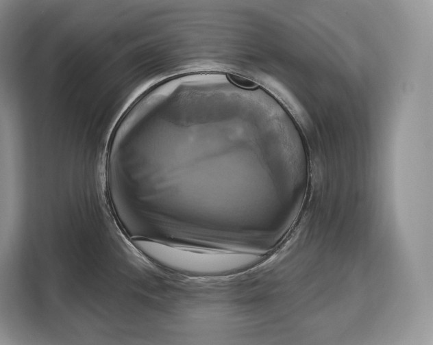 X0000113051244200909171535