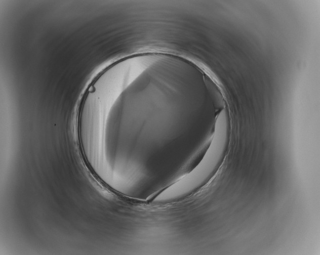 X0000113051246200909171535