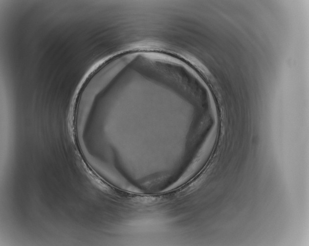 X0000113051248200909171535