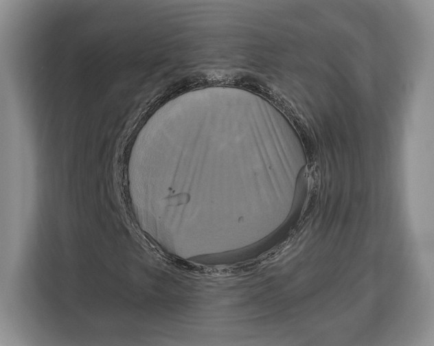 X0000113051249200909171534