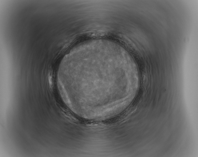 X0000113051250200909171534