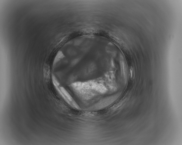 X0000113051251200909171534