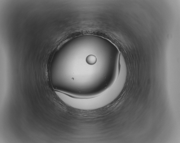 X0000113051252200909171534