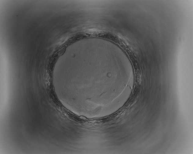 X0000113051253200909171534