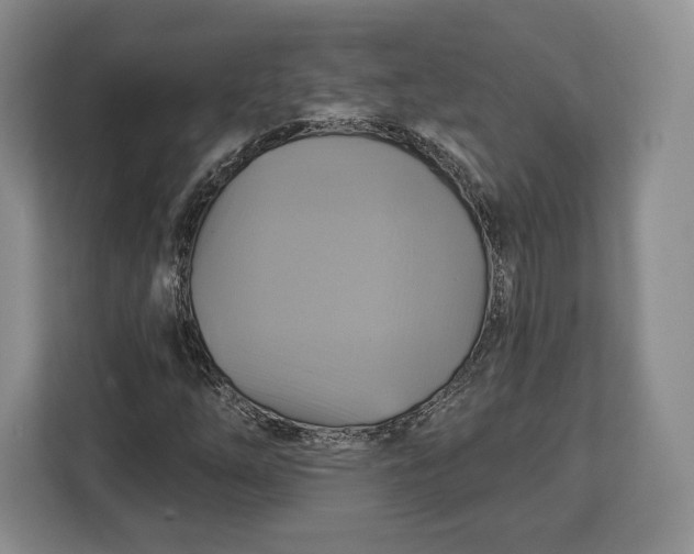 X0000113051254200909171534