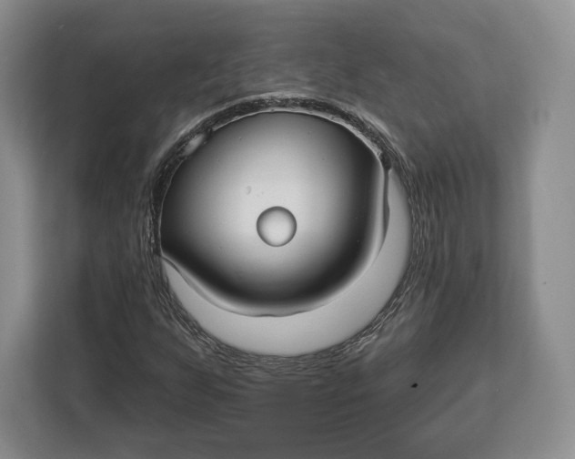 X0000113051255200909171534