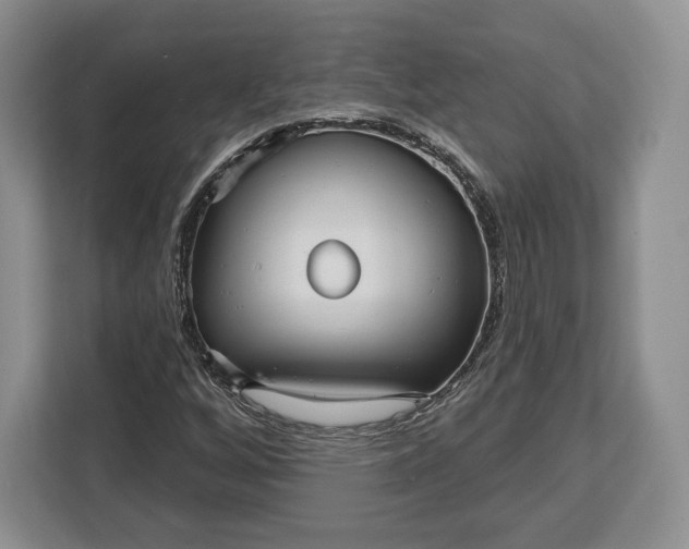 X0000113051256200909171534