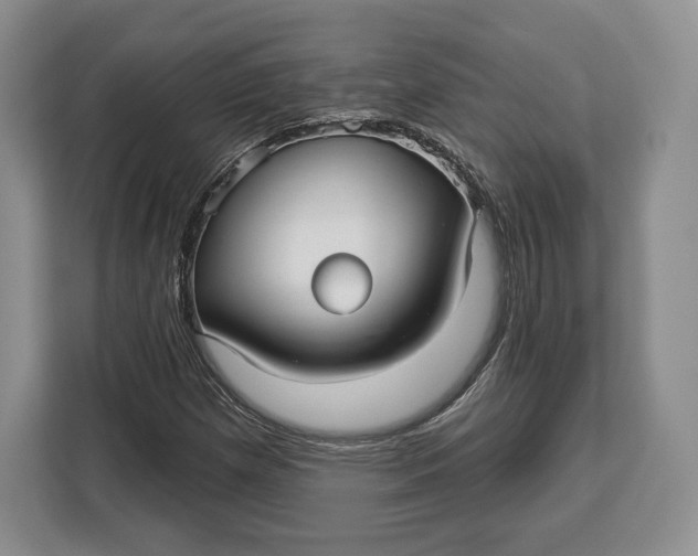 X0000113051257200909171534