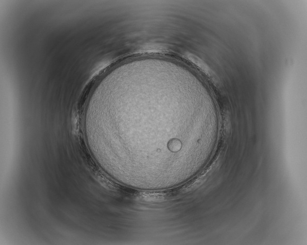 X0000113051258200909171534