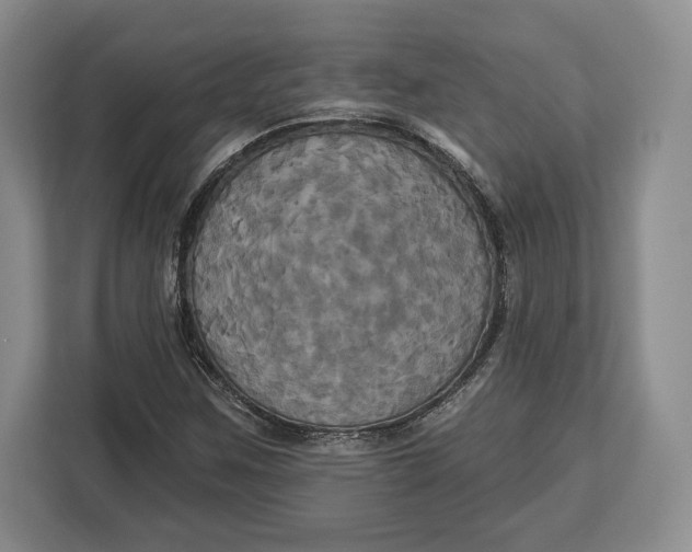 X0000113051259200909171534