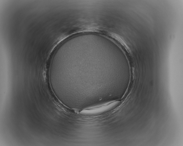 X0000113051260200909171534