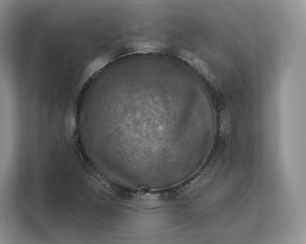 X0000113051261200909171534