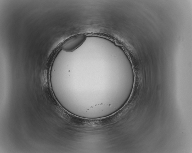 X0000113051262200909171534