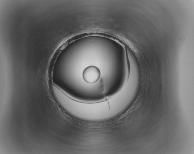 X0000113051264200909171534